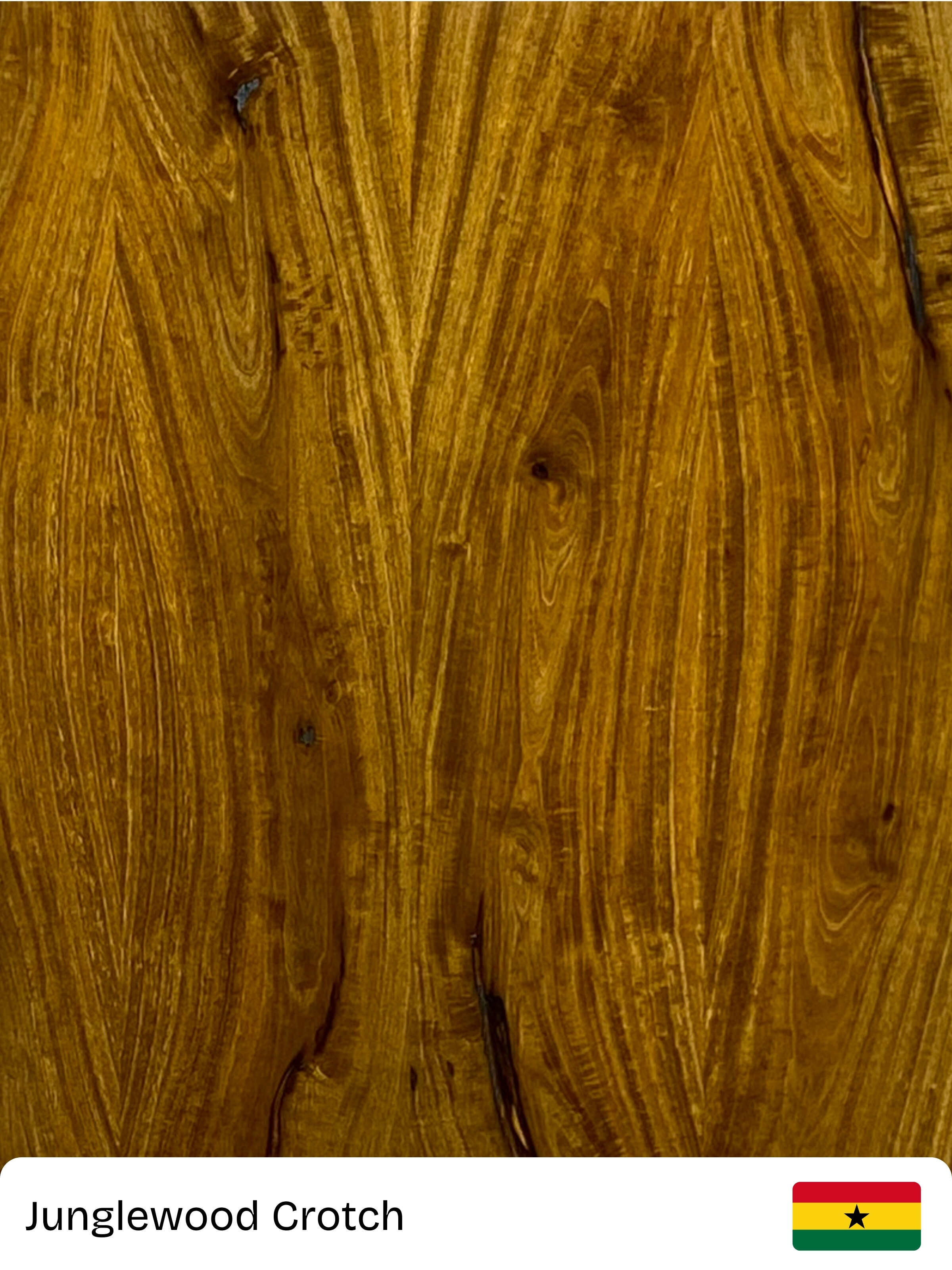 Junglewood-Crotch