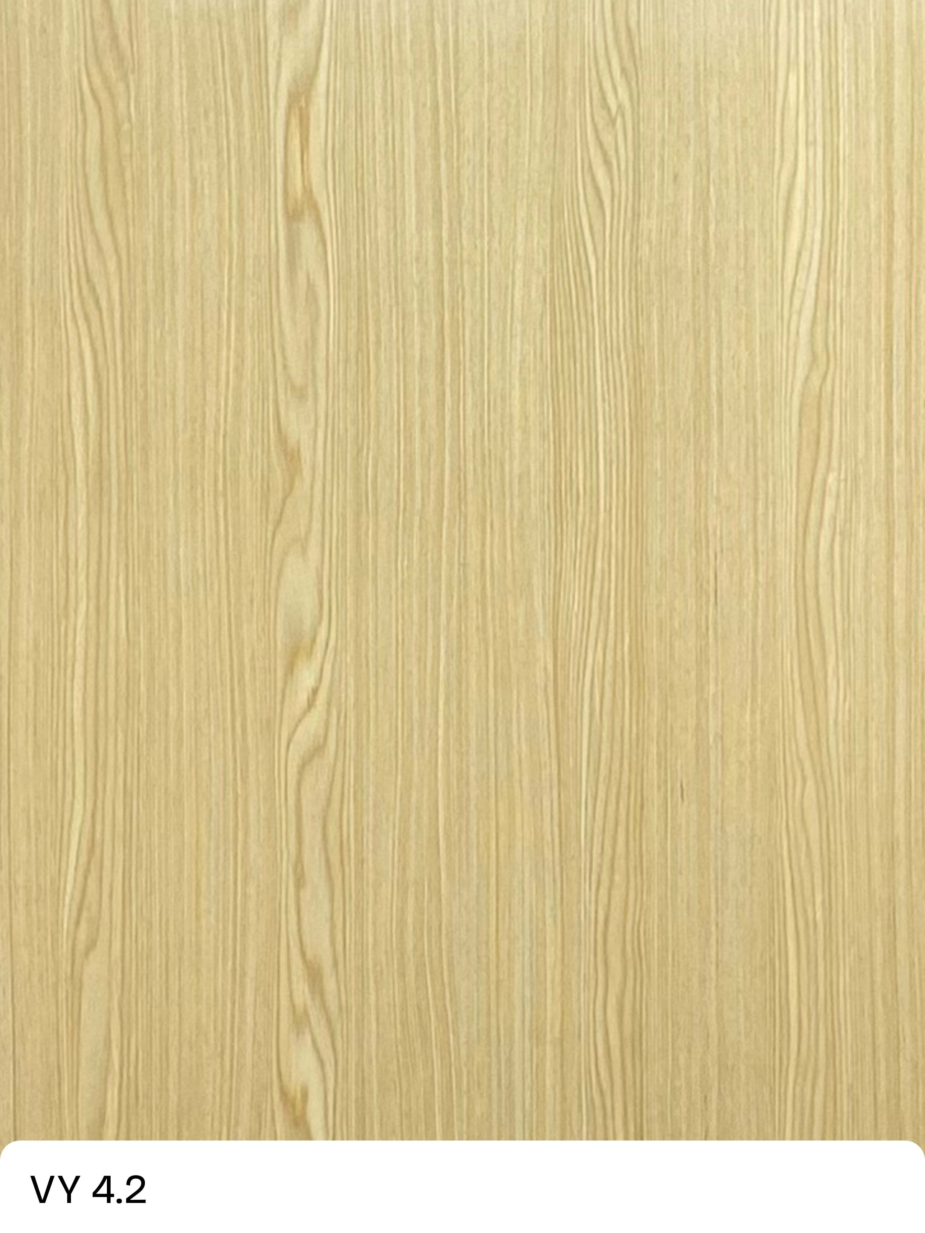 VY-4.2