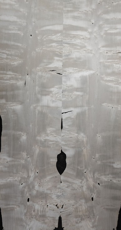 OMBRA EXOTIQ COLLECTION